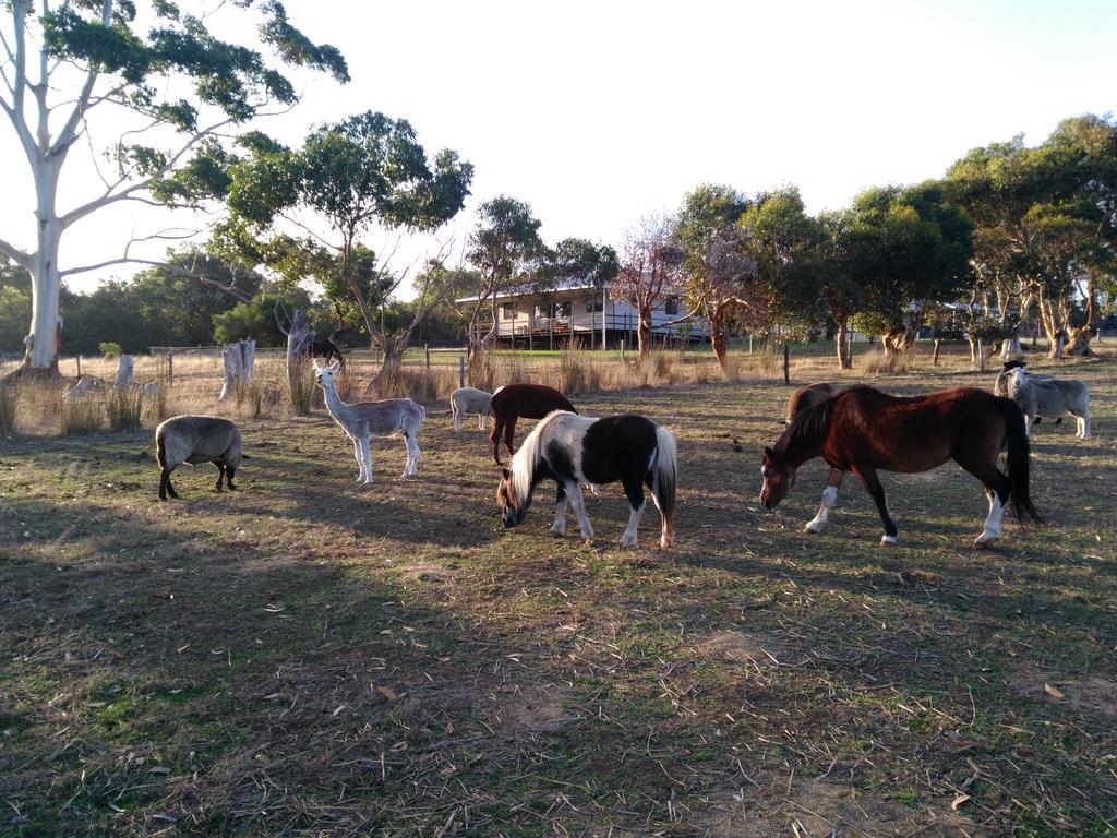 Heartland Hideaway Villa Vivonne Bay Dış mekan fotoğraf
